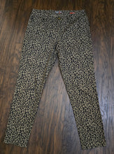 Load image into Gallery viewer, Style &amp; Co. Pants(Size8)
